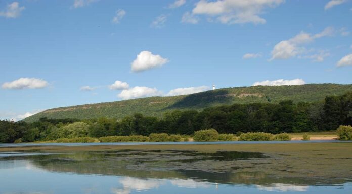Vista del monte Talcott dalla Nod Brook Wildlife Area