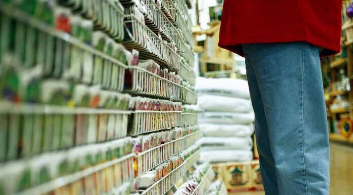 Segui questi 4 consigli a febbraio per un giardino rigoglioso più tardi quest'estate
