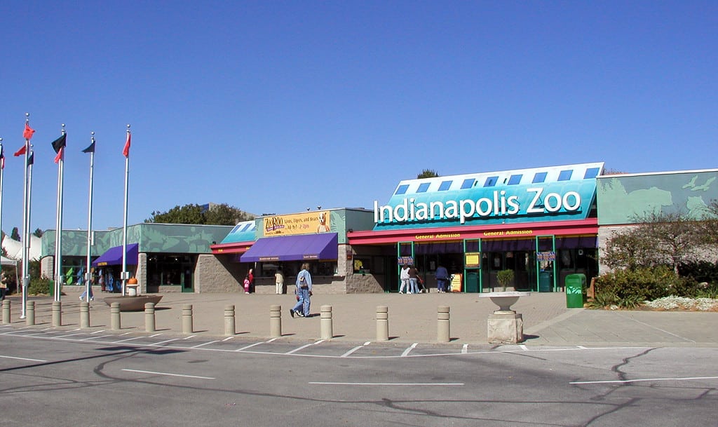 Zoo di Indianapolis: il momento ideale per andarci + 32 animali fantastici da vedere