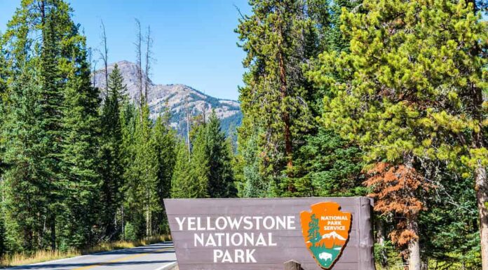 Veduta dell'ingresso al Parco Nazionale di Yellowstone