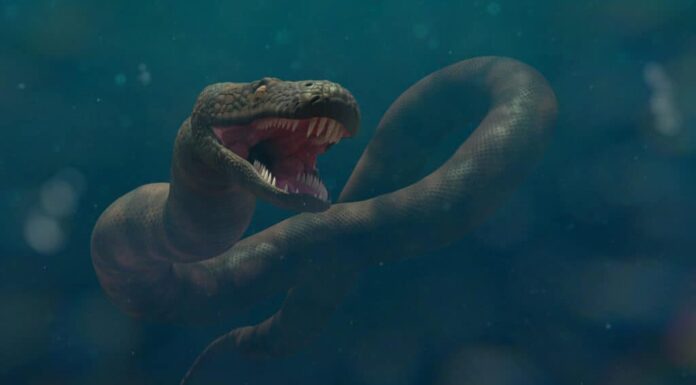 Serpente mostro marino