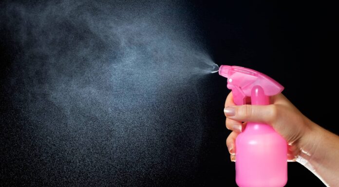 3 soluzioni efficaci che uccidono la quercia velenosa in modo permanente
