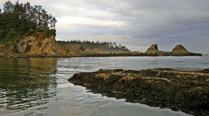 Parco statale di Sunset Bay nella contea di Coos, Oregon