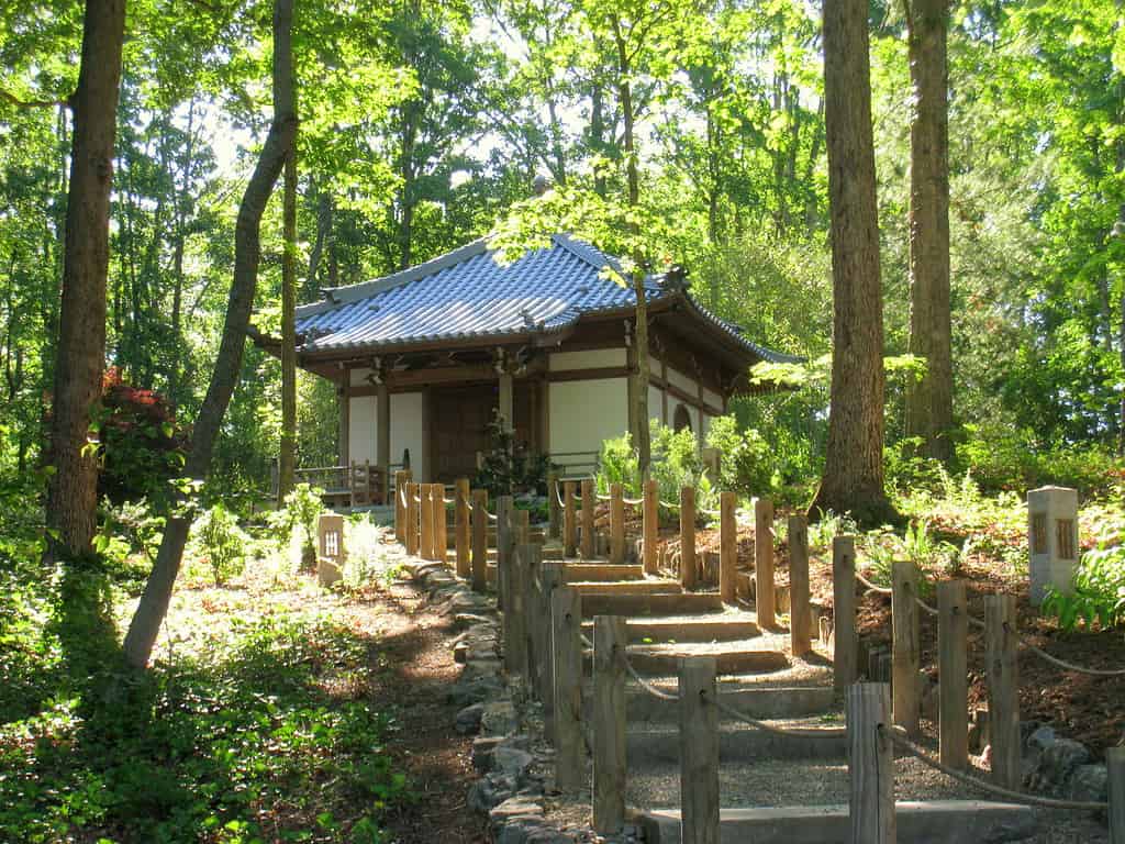 I 7 campus universitari più belli della Carolina del Sud