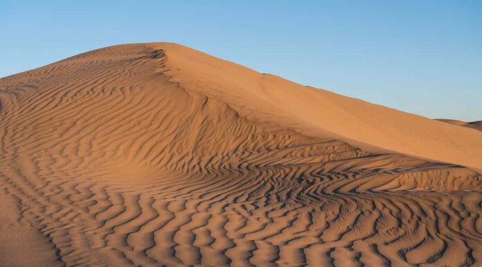 Le dune di sabbia del Piccolo Sahara