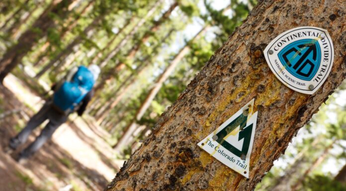 Continental Divide Trail e segnali stradali del Colorado su un albero