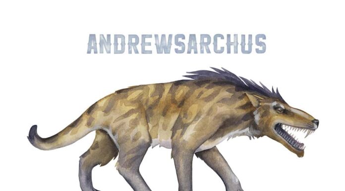 Andrewsarchus preistorico dell'acquerello isolato su priorità bassa bianca