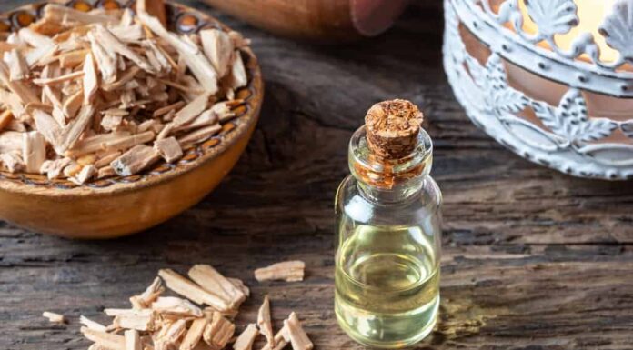 Una bottiglia di olio essenziale con trucioli di legno di cedro