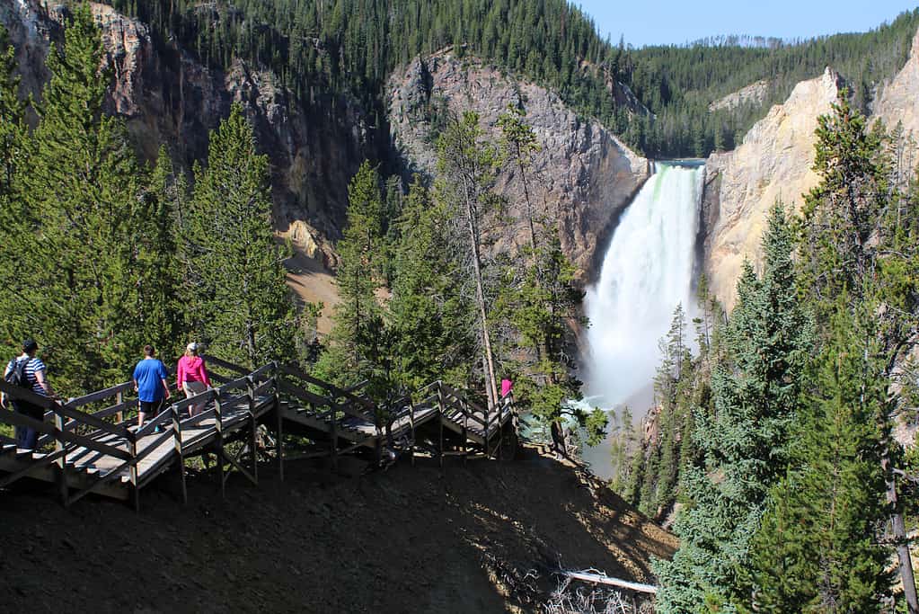 Cascate Inferiori, Yellowstone