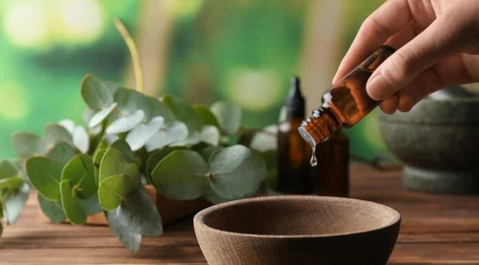 Donna che versa l'olio essenziale di eucalipto nella ciotola sul tavolo di legno