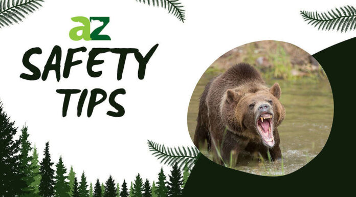 Suggerimenti per la sicurezza