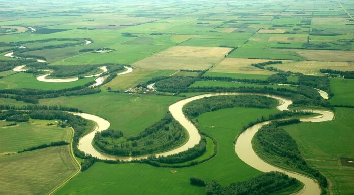 Fiume curvo dall'alto