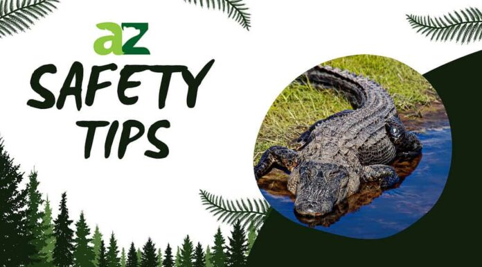 Suggerimenti per la sicurezzaSuggerimenti per la sicurezza