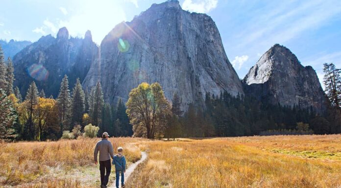 Sono ammessi i cani a Yosemite