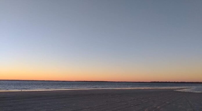 8 spiagge della Carolina del Nord con il maggior numero di attacchi di squali
