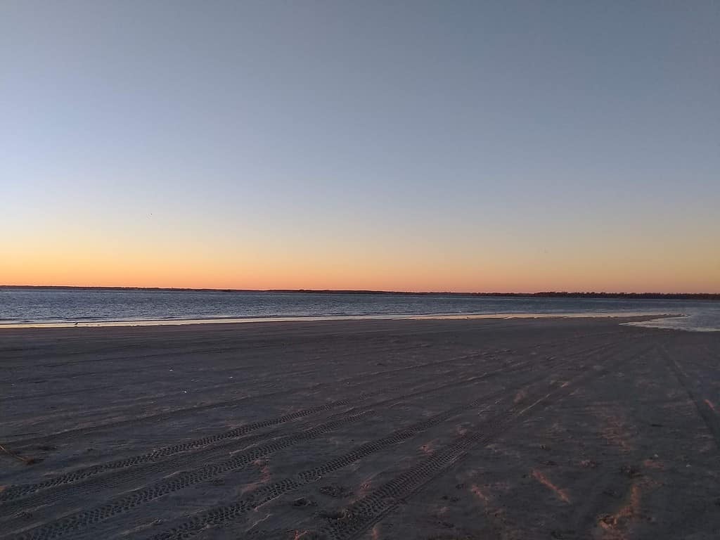 8 spiagge della Carolina del Nord con il maggior numero di attacchi di squali