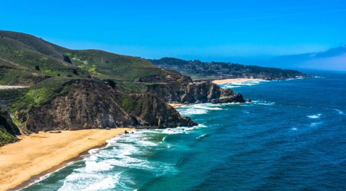 Spiaggia statale di Gray Whale Cove