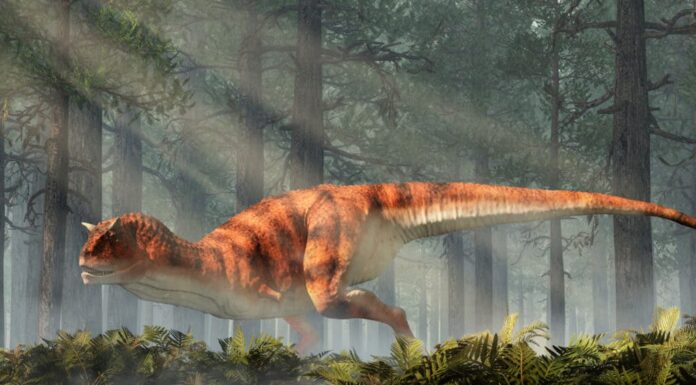 10 dinosauri con le corna
