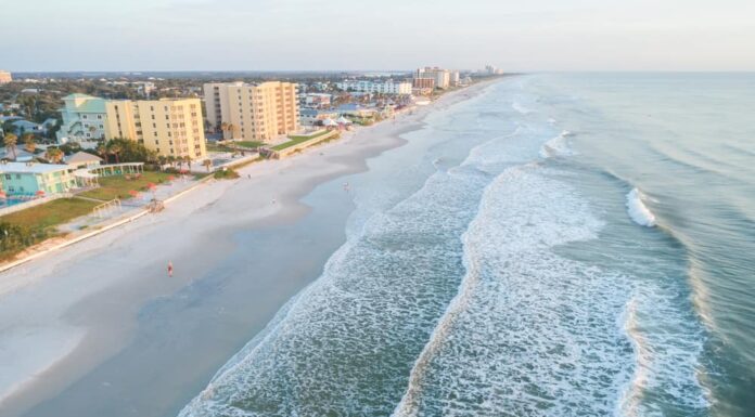 morso di squalo capitale