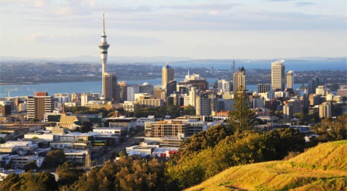 Ci saranno serpenti in Nuova Zelanda nel 2024?
