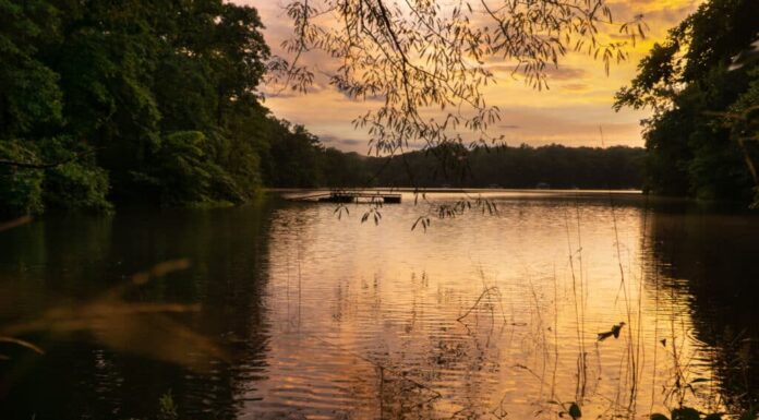 Lago Hartwell, Georgia