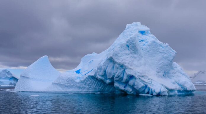 Primo piano, vista, di, uno, scenario, antartico, con, un, iceberg, blu