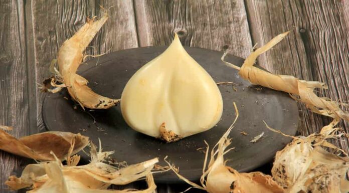 La cipolla anzur o cipolla Suvorov o aglio elefante (Allium suworowii) è una specie di cipolla originaria dell'Afghanistan e dell'Asia centrale