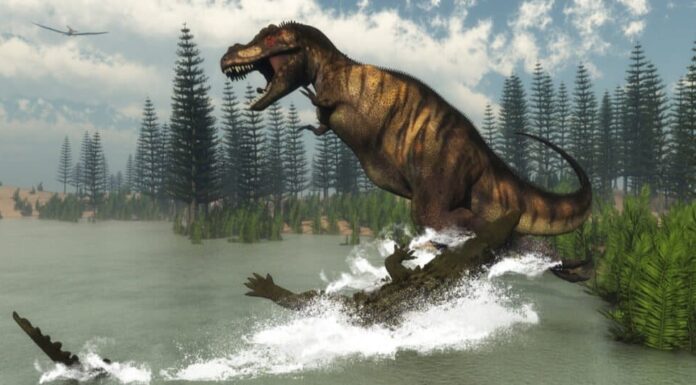 Forza del morso del coccodrillo - Deinosuchus attacca un dinosauro