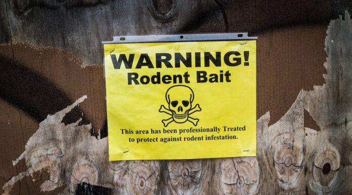 Cartello di avvertimento per esche per roditori su un edificio chiuso con assi