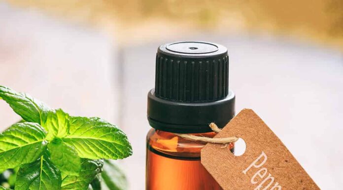 Una bottiglia di olio essenziale di menta piperita