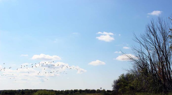 Unità agricola Fennville a Fennville presso l'Allegan State Game Area