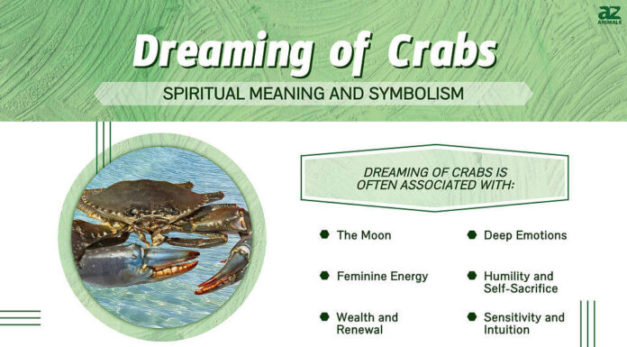 Sognare Granchi: Scopri il Significato Spirituale e l'Interpretazione
