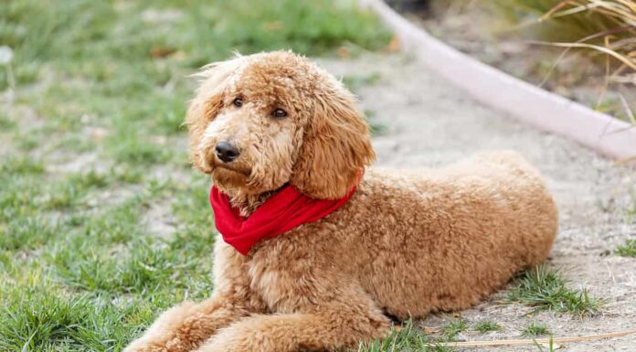 Immagine a colori, Carino, Orizzontale, Natura, Nessuna persona