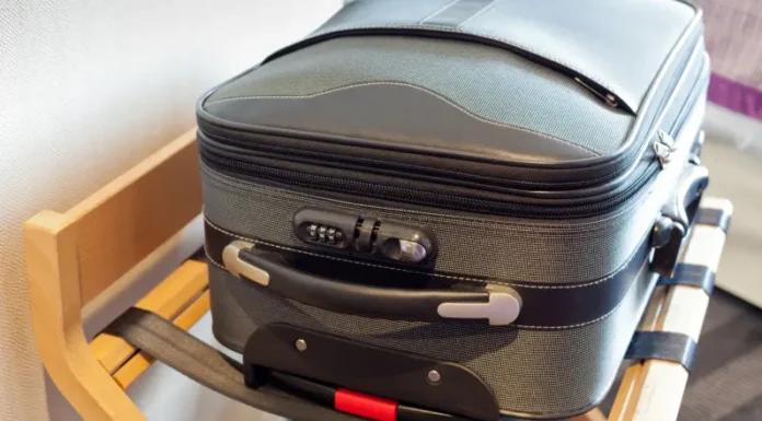 A suitcase in a hotel room. Bed Bugs can hitch rides in your suitcase while traveling. Find out how to protect against bed bugs on your next trip.
