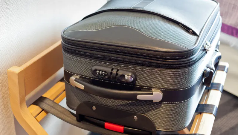 A suitcase in a hotel room. Bed Bugs can hitch rides in your suitcase while traveling. Find out how to protect against bed bugs on your next trip.