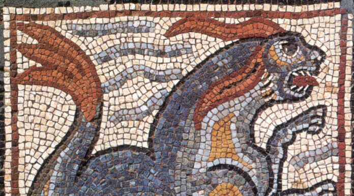 Sono millenni che le orche affondano le navi?
