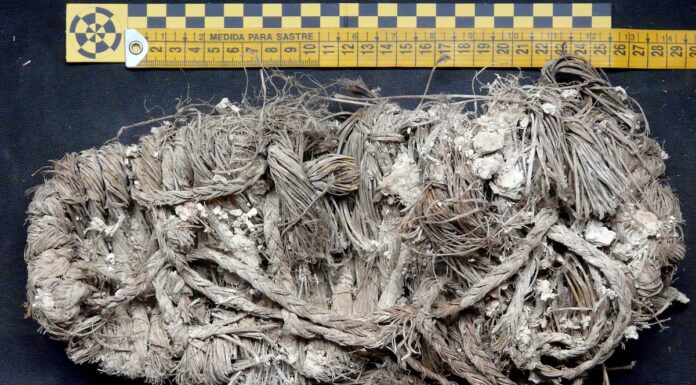 Trovato: scarpa di 750 anni, nel nido di avvoltoio
