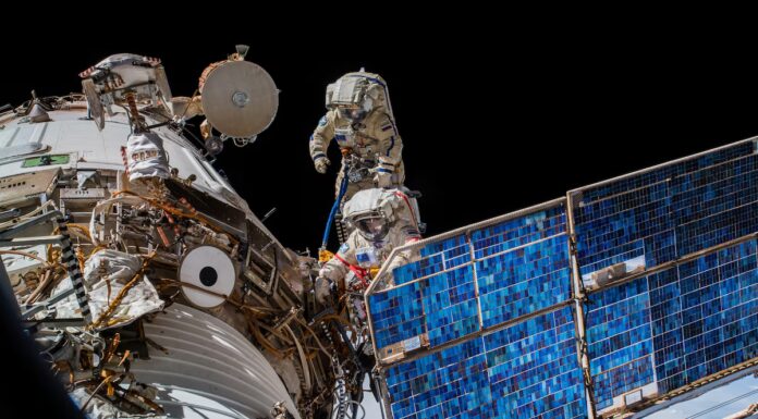 Cosa possiamo imparare osservando 100.000 animali con dettagli incredibili, dallo spazio
