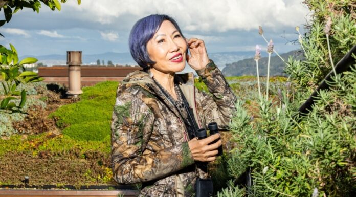 Come iniziare a fare birdwatching, secondo Amy Tan
