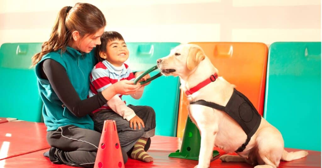 cane di servizio che aiuta a sostenere il bambino con autismo