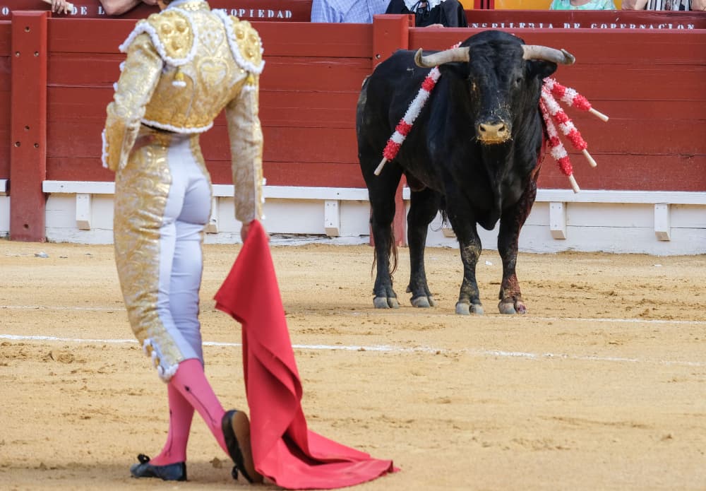 Corrida in Spagna. Torero spagnolo nell'arena della corrida