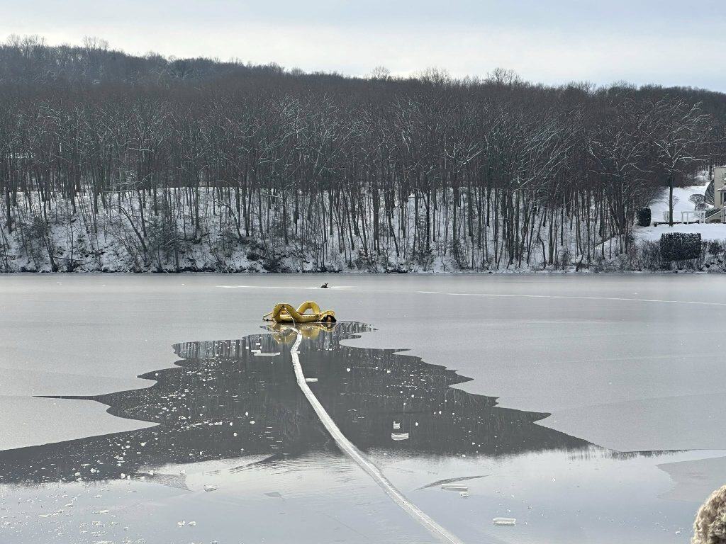 Cervo salvato dal lago nel Connecticut