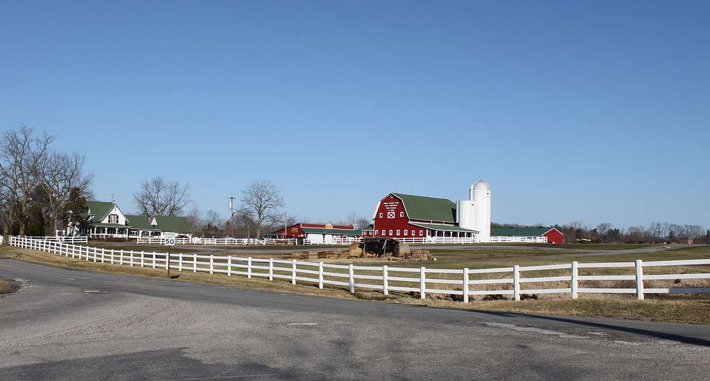 La consanguineità minaccia l'unico serpente a sonagli del Michigan: cosa significa per la conservazione