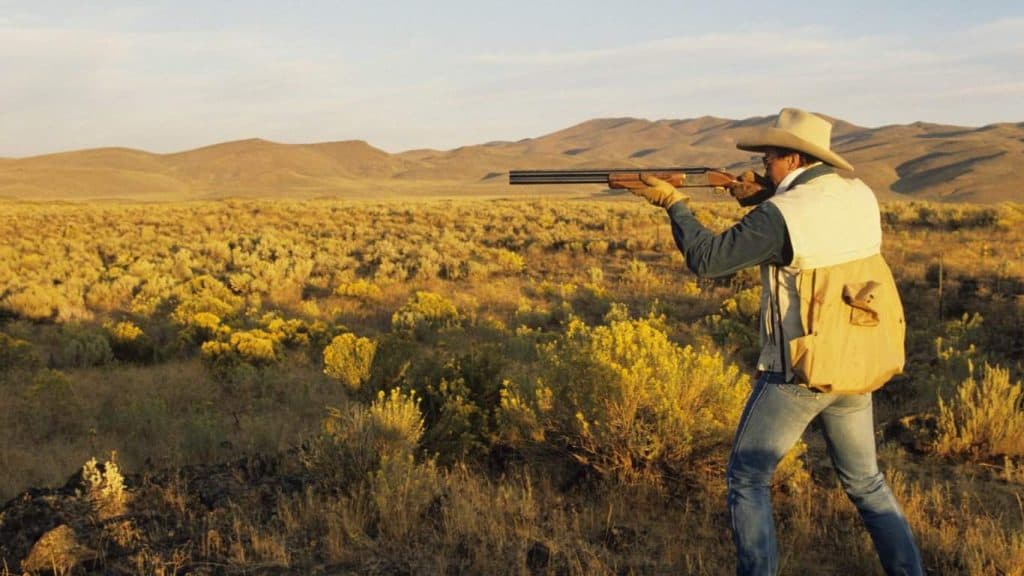 La fauna selvatica popolare: recuperare i beni comuni attraverso il modello nordamericano