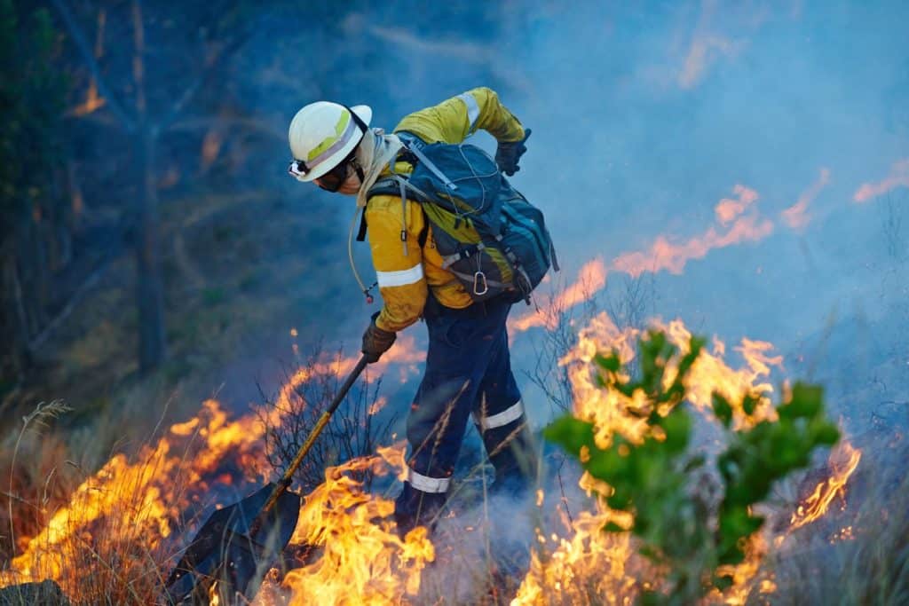 Fumo, fiamme e vigili del fuoco nella foresta per emergenze, gestione delle catastrofi e controllo dei danni nella boscaglia. Montagna, aiuto e uomo con il soccorso antincendio, volontariato e coraggio per la conservazione della natura