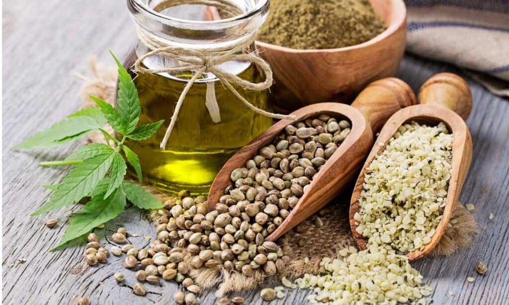 Questo zoo afferma che il CBD aiuta i suoi animali anziani a comportarsi di nuovo come giovani