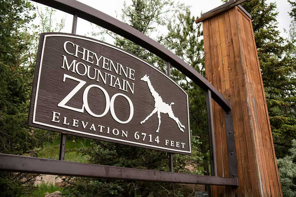 Il Cheyenne Mountain Zoo è lo zoo più alto degli Stati Uniti.