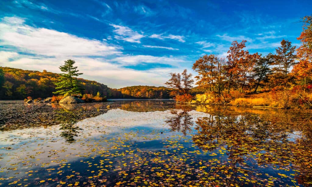 Harriman State Park, Autumn, Autumn Leaf Color, Beauty In Nature, Bright: il miglior campeggio vicino a New York City