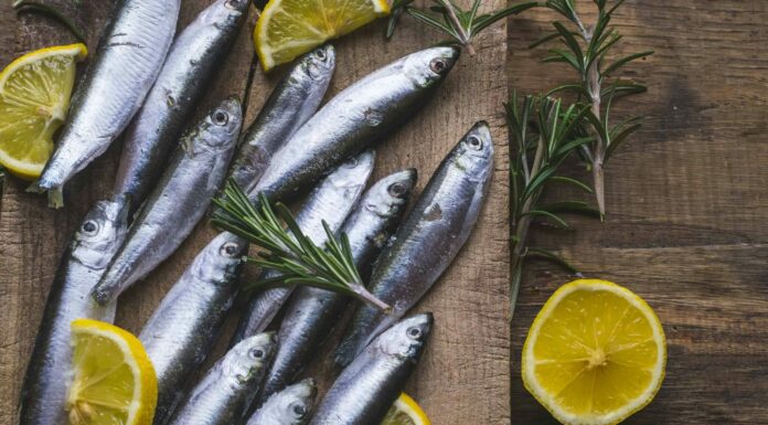 Aringa vs sardina: come sono diversi?
