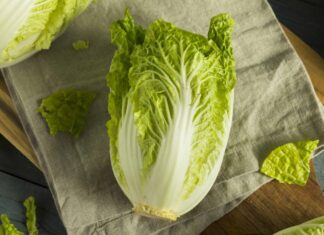 Napa Cabbage vs Bok Choy: quali sono le differenze?
